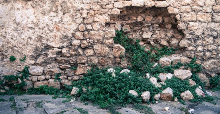 Photographie d’un mur en pierre moellon ancien présentant un manque de pierres et un désordre localisé dans la maçonnerie, avec cavités