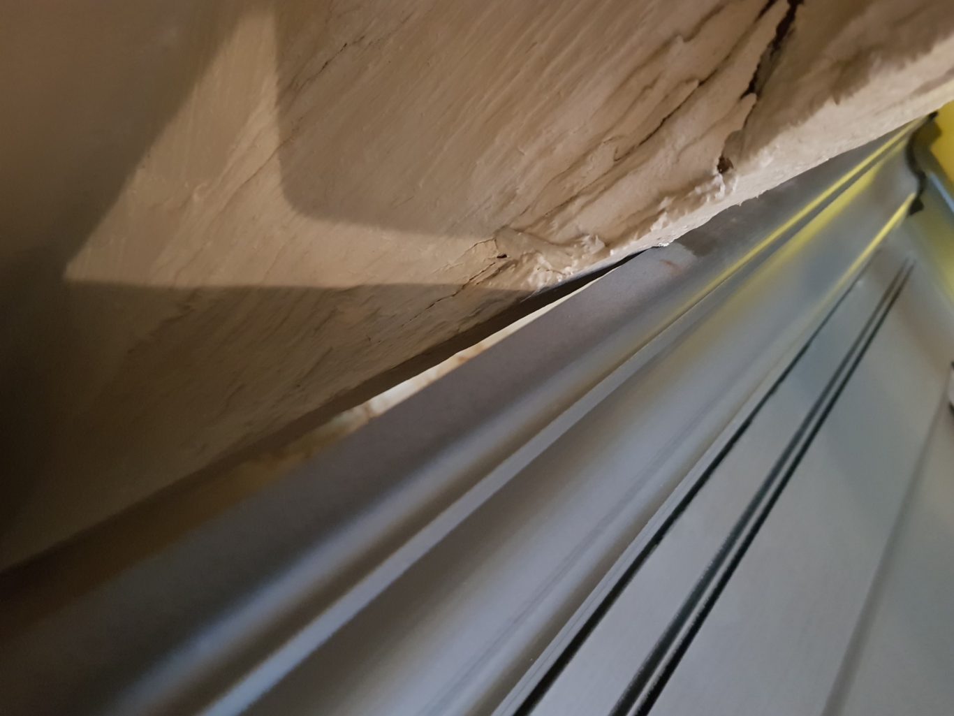 SOLIVE PRENANT APPUI SUR MEUBLE