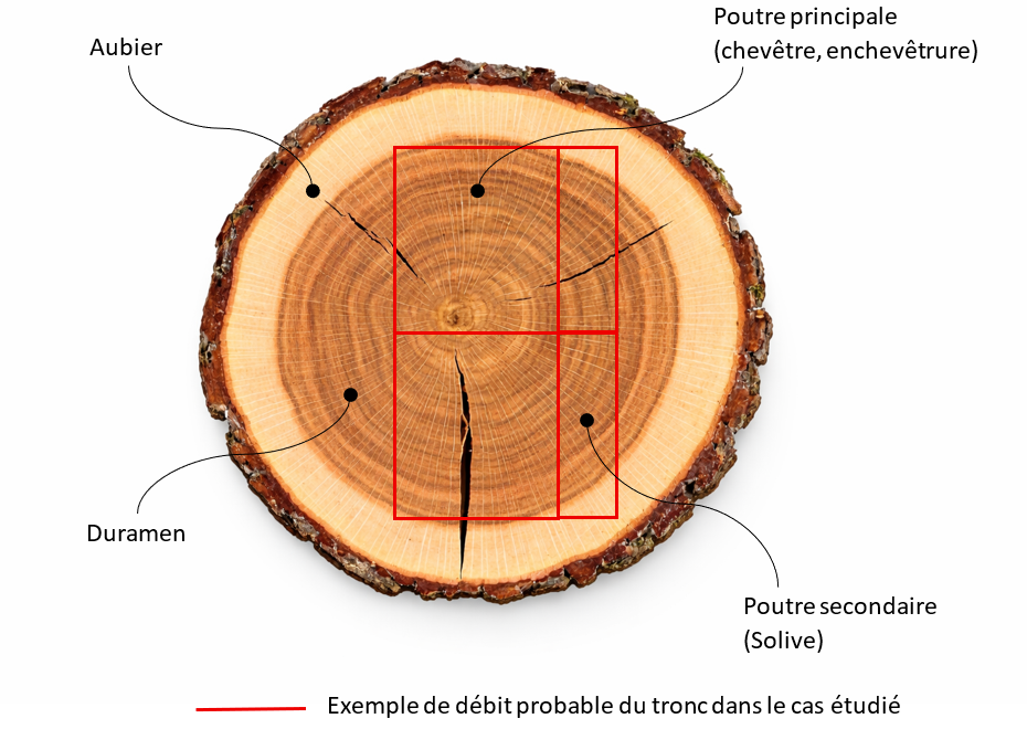 Schéma de coupe de tronc en scierie montrant l’aubier et le duramen, et l’emplacement d’une solive et d’une poutre principale dans le débit 