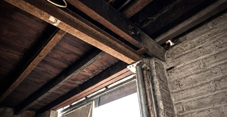 Photographie d’une charpente bois ancienne vue depuis un comble, avec panne intermédiaire présentant une flèche et chevrons cintrées