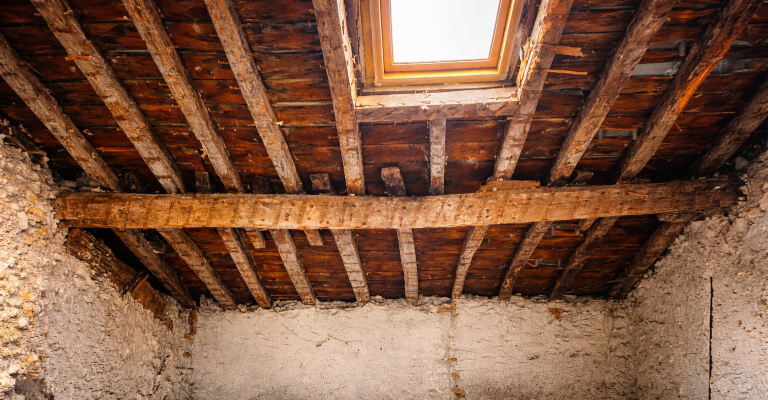 Photographie d’une charpente bois ancienne vue depuis un comble, avec panne intermédiaire présentant une flèche et chevrons cintrées